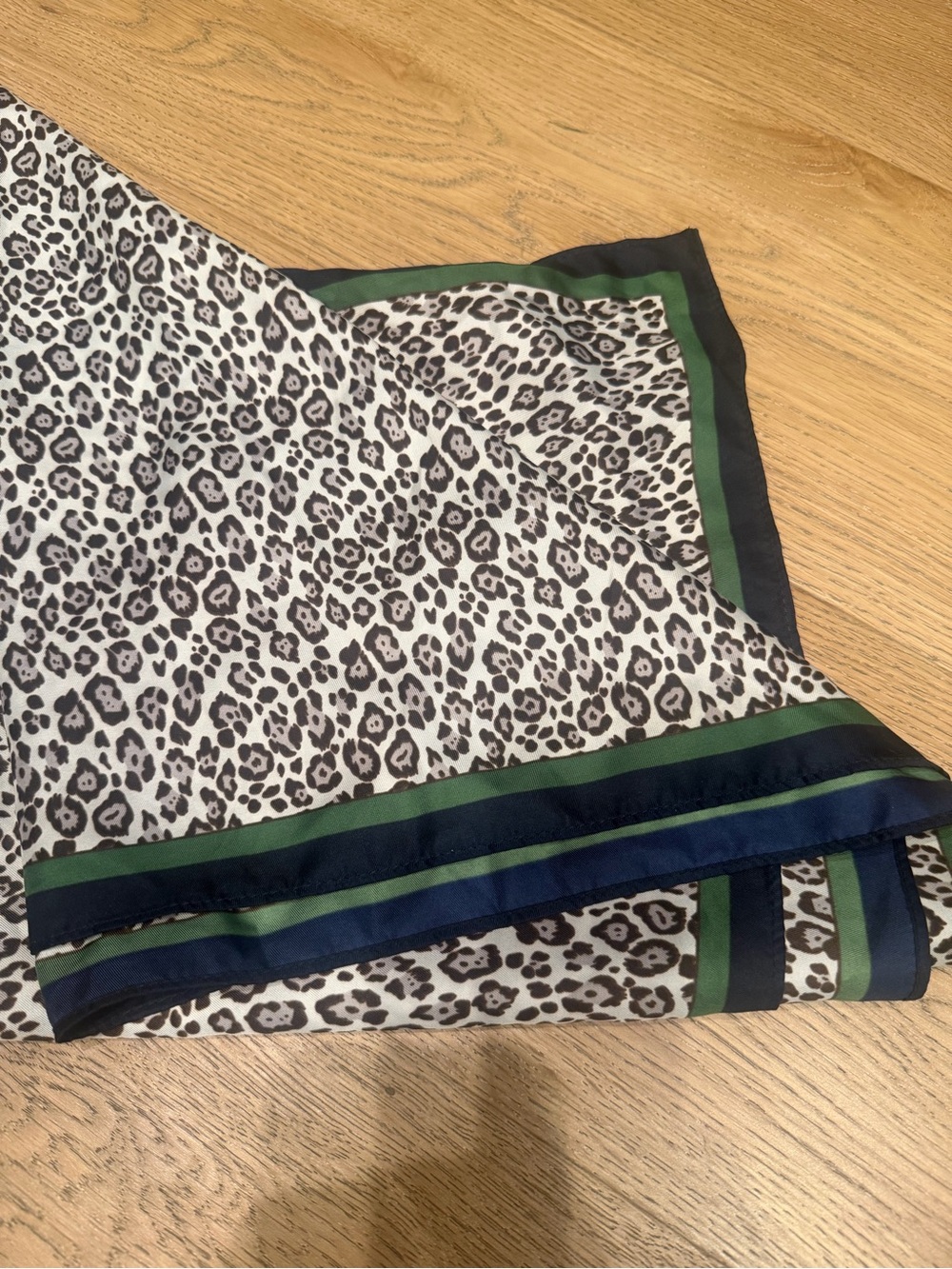 Banana Republic Leopard Print Scarf with Green and Navy Border